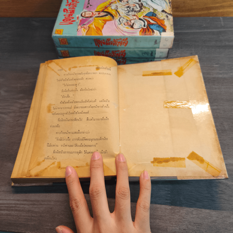 แดนมิคสัญญี 4 เล่มจบ - น.นพรัตน์