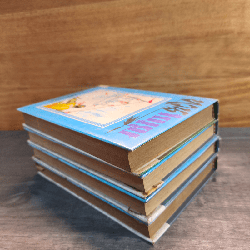 ทวนวีรบุรุษ 4 เล่มจบ - ว. ณ เมืองลุง