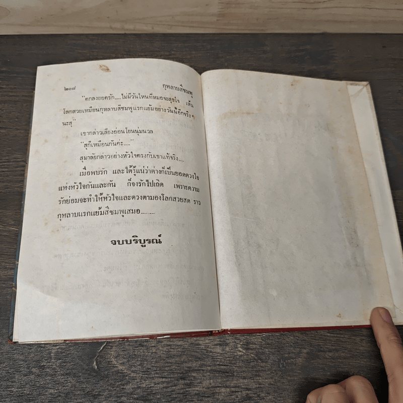 กุหลาบสีชมพู - รจเรข