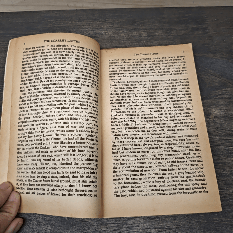 The Scarlet Letter - Nathaniel Hawthorne