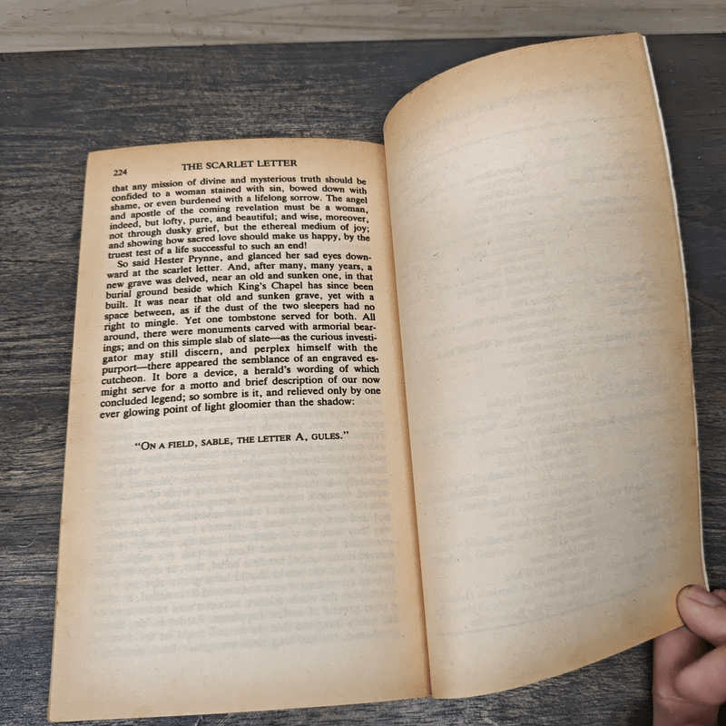 The Scarlet Letter - Nathaniel Hawthorne