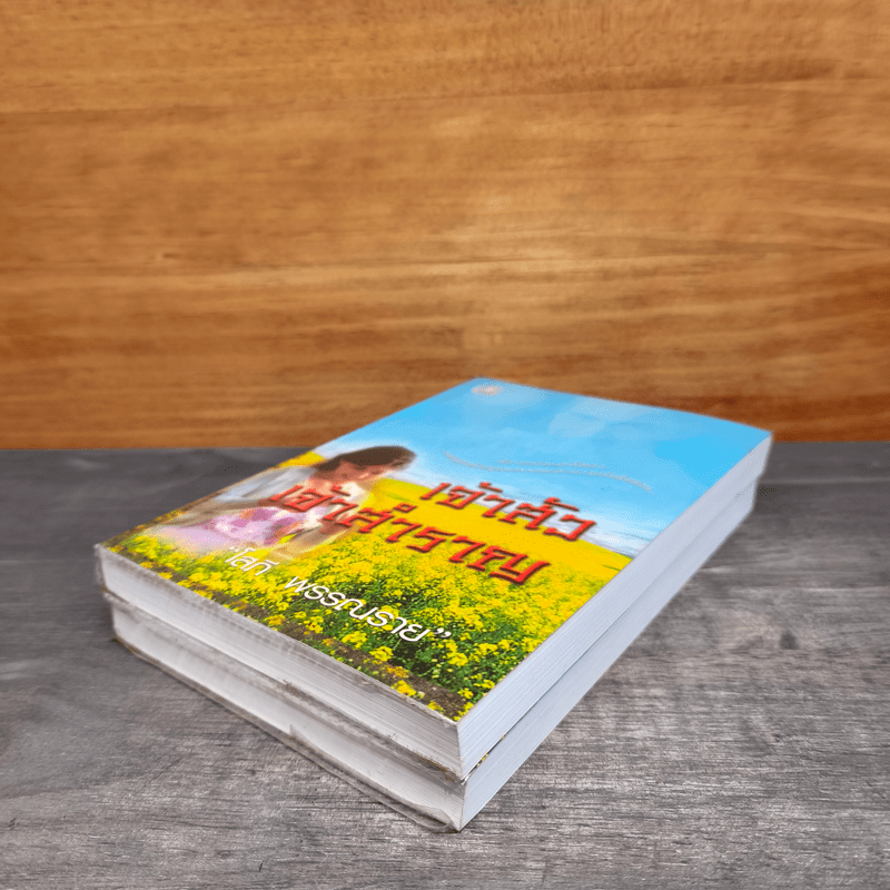 เจ้าสัวเจ้าสำราญ 2 เล่มจบ - โสภี พรรณราย