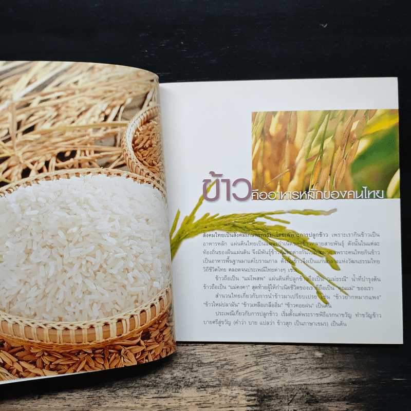 ข้าวกล้อง ข้าวงอก มหัศจรรย์อาหารต้านโรค ชุดอาหารต้านโรค