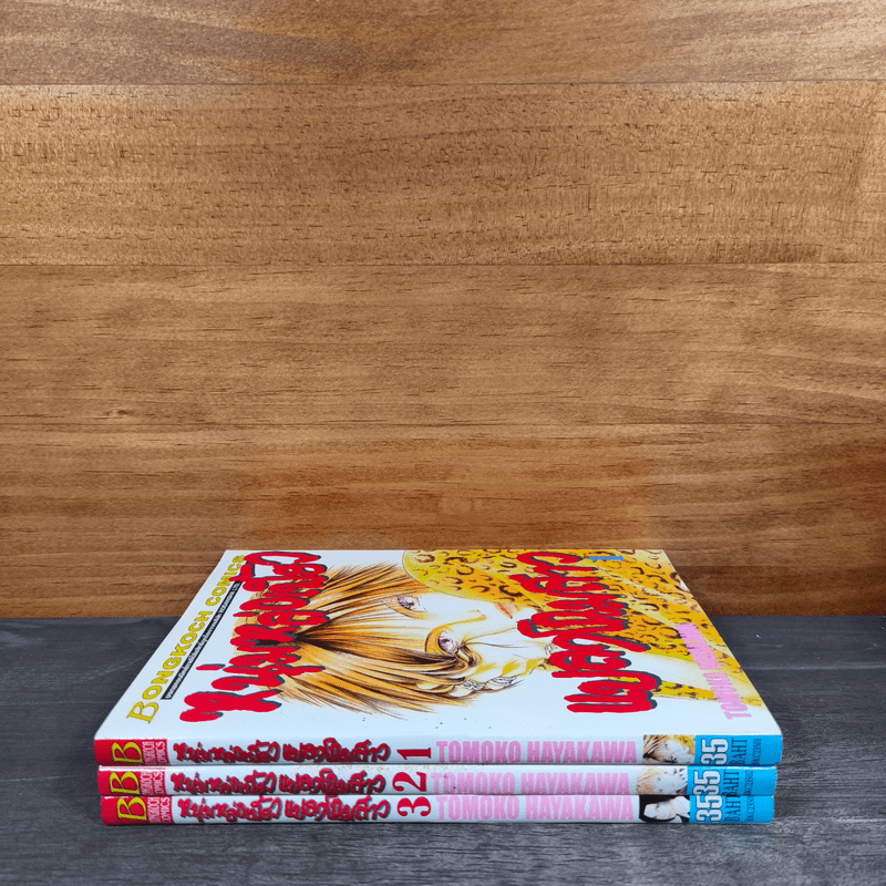 หนุ่มหล่อเฟี้ยวแปลงโฉมสาว เล่ม 1-3