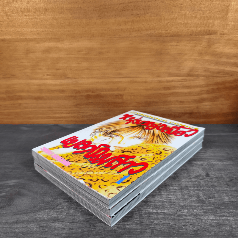 หนุ่มหล่อเฟี้ยวแปลงโฉมสาว เล่ม 1-3