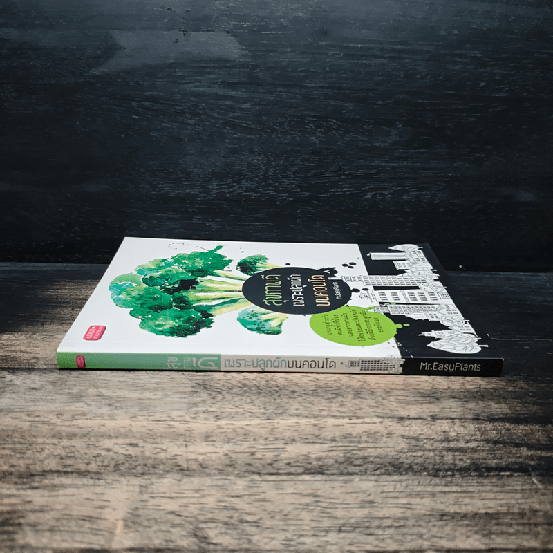 สุุขภาพดีเพราะปลูกผักบนคอนโด - Mr.EasyPlants