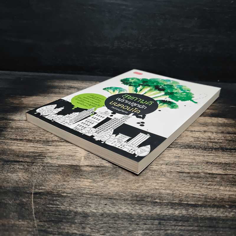 สุุขภาพดีเพราะปลูกผักบนคอนโด - Mr.EasyPlants