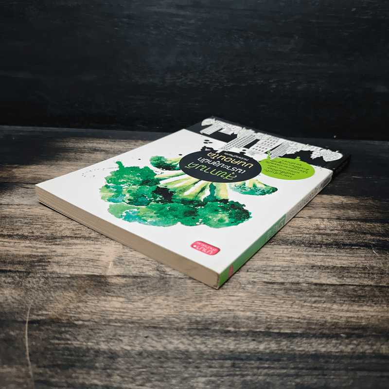 สุุขภาพดีเพราะปลูกผักบนคอนโด - Mr.EasyPlants