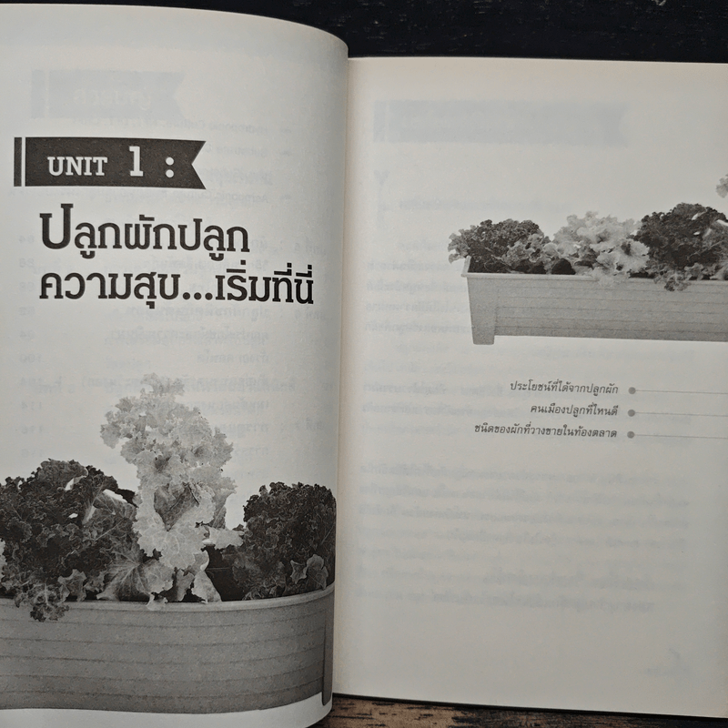 สุุขภาพดีเพราะปลูกผักบนคอนโด - Mr.EasyPlants