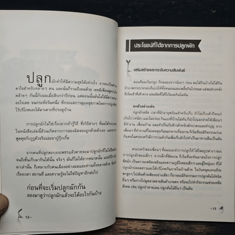 สุุขภาพดีเพราะปลูกผักบนคอนโด - Mr.EasyPlants