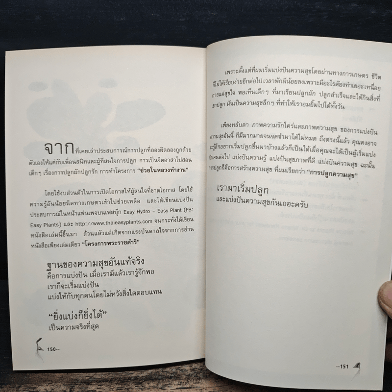 สุุขภาพดีเพราะปลูกผักบนคอนโด - Mr.EasyPlants