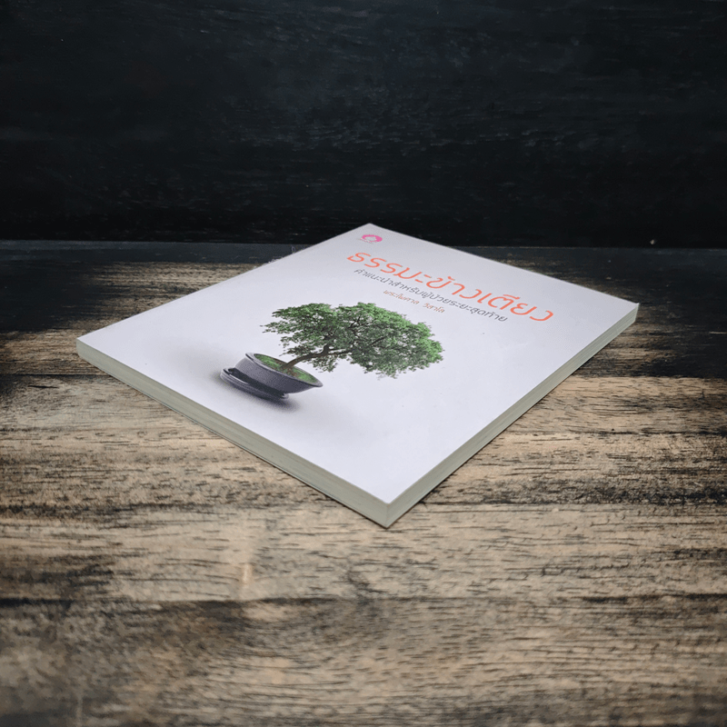 ธรรมะข้างเตียง คำแนะนำสำหรับผู้ป่วยระยะสุดท้าย - พระไพศาล วิสาโล