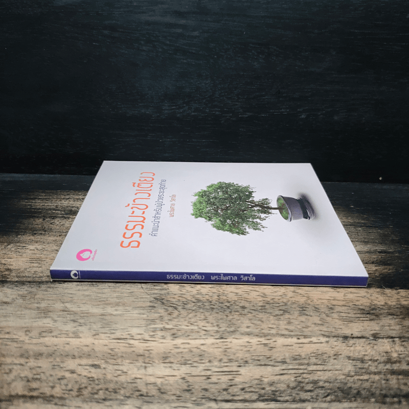 ธรรมะข้างเตียง คำแนะนำสำหรับผู้ป่วยระยะสุดท้าย - พระไพศาล วิสาโล