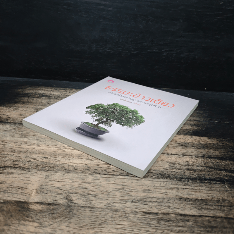 ธรรมะข้างเตียง คำแนะนำสำหรับผู้ป่วยระยะสุดท้าย - พระไพศาล วิสาโล