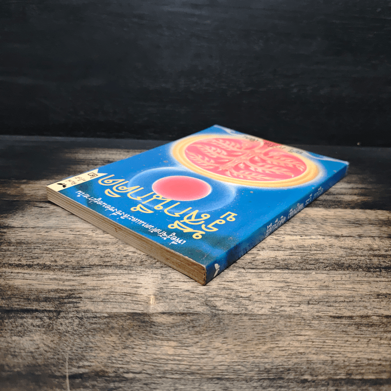 รู้สึกนึกคิด - ระวี ภาวิไล