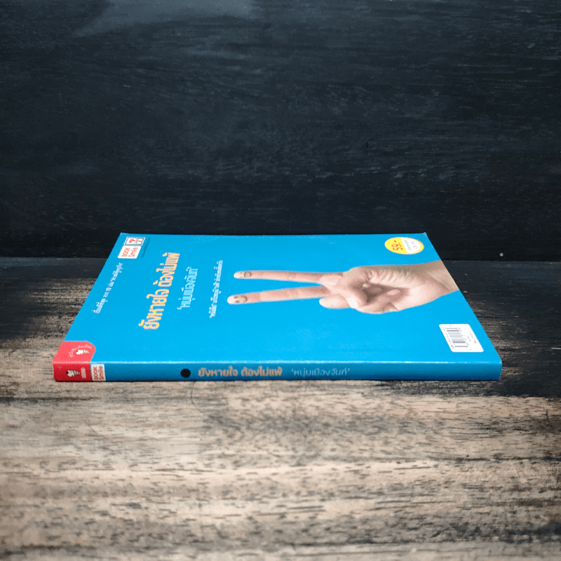 ยังหายใจต้องไม่แพ้ - หนุ่มเมืองจันท์