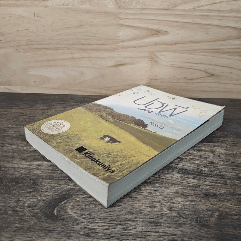 ปฐพีเล่ห์รัก - ร่มแก้ว