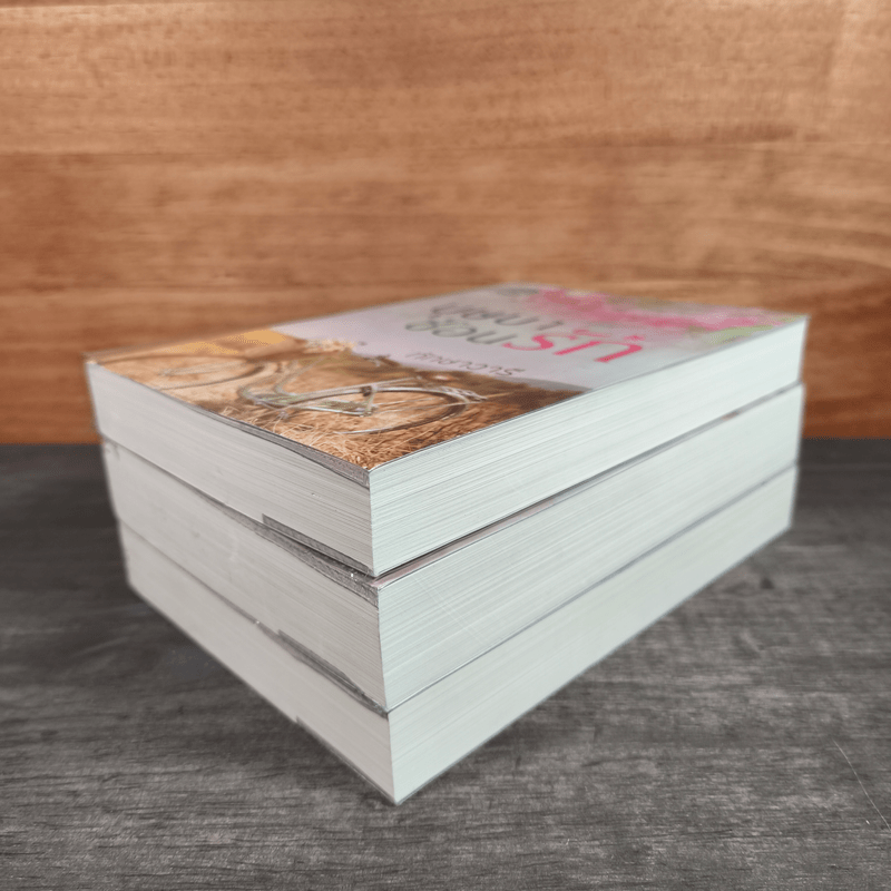 Boxset นวนิยาชุด ทัณฑ์รักบุษบา บุษบาพร่ำรัก + บุษบาซ่อนรัก + บุษบาลวงรัก - ทักษาวารี