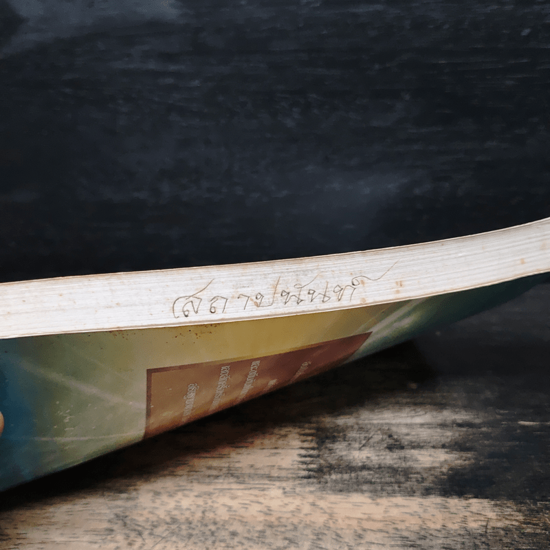 รวยดี มีโชค - สุรศิลป์ ตัณตยกุล