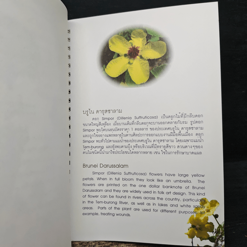 บุปผาแห่งอาเซียน