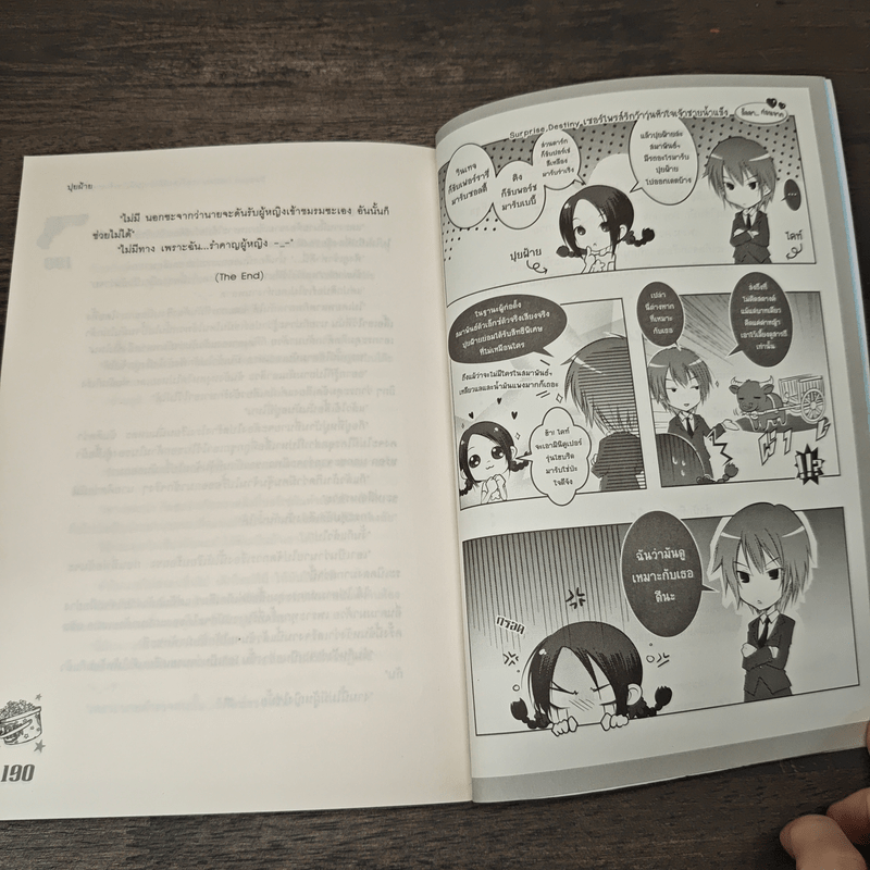 Surprise Destiny เซอร์ไพรส์รักว้าวุ่นหัวใจเจ้าชายน้ำแข็ง - ปุยฝ้าย