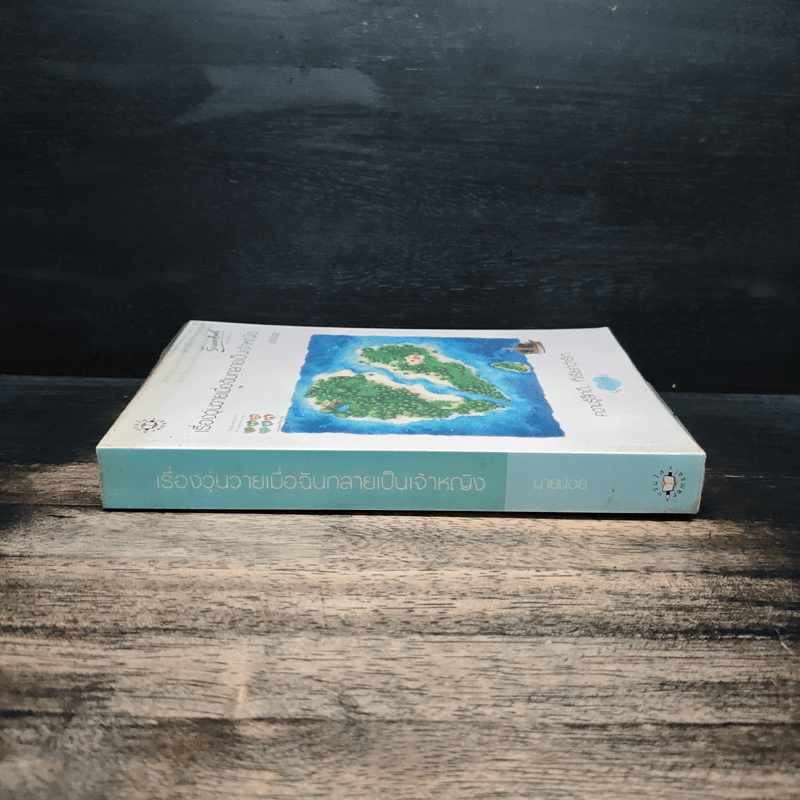 เรื่องวุ่นวายเมื่อฉันกลายเป็นเจ้าหญิง - นายน้อย