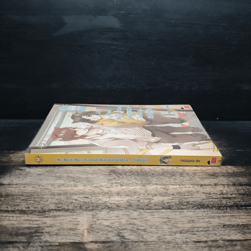 My Best (Boy) Friend เพื่อนสนิทคิดไกล หัวใจมีรัก - เจ้าหญิงผู้เลอโฉม