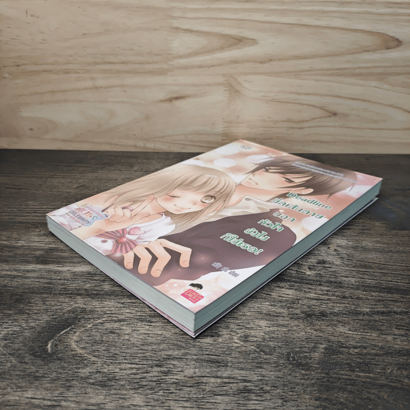 Deadline ขีดเส้นตายบอกหัวใจยังไงก็ใช่เธอ - silly sis