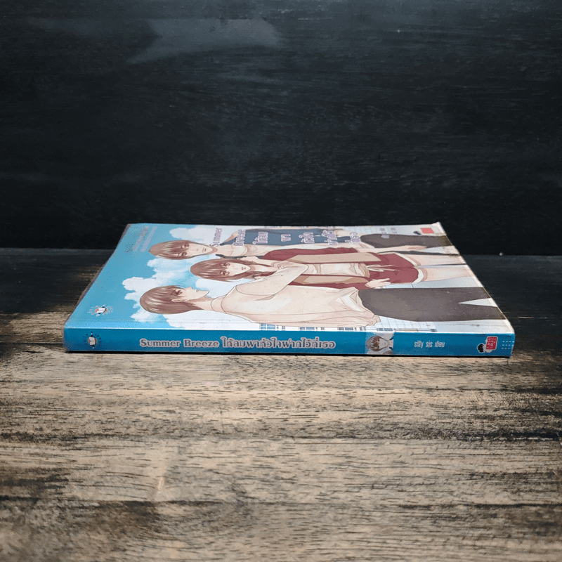 Summer Breeze ให้ลมพาหัวใจฝากไว้ที่เธอ - silly sis