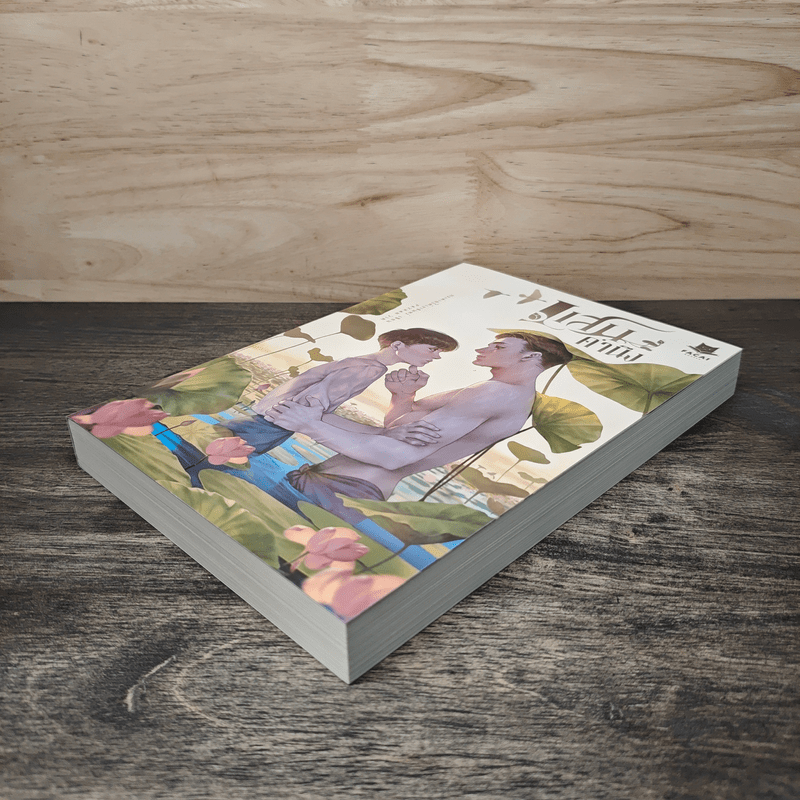 แสนคำนึง - กระต่ายใต้เงาจันทร์