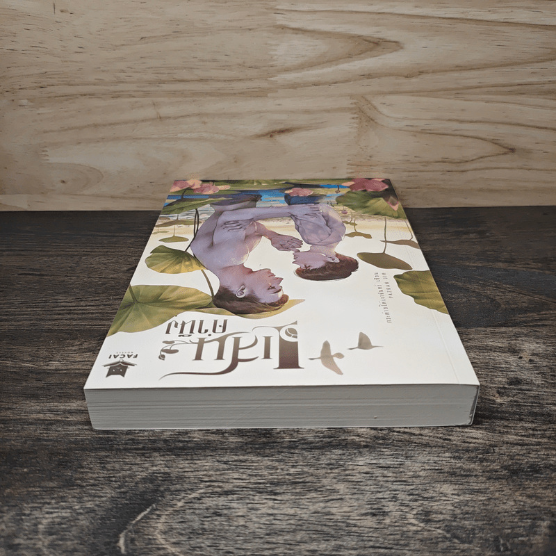 แสนคำนึง - กระต่ายใต้เงาจันทร์