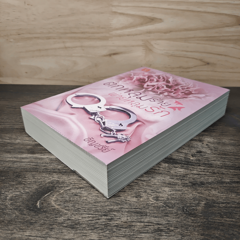 ตกหลุมร้ายพ่ายหลุมรัก - อัญชรีย์