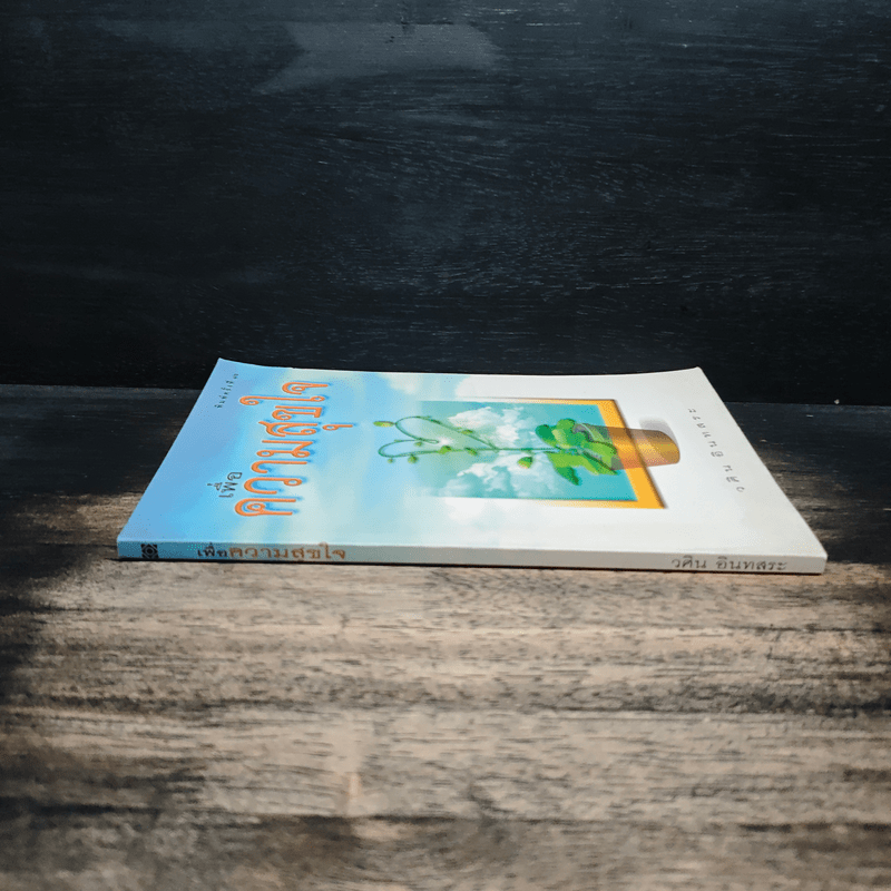 เพื่อความสุขใจ - วศิน อินทสระ