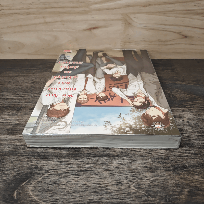 We Are Blacklist แก๊งหล่อร้ายขอส่งท้ายภารกิจ - ปุยฝ้าย