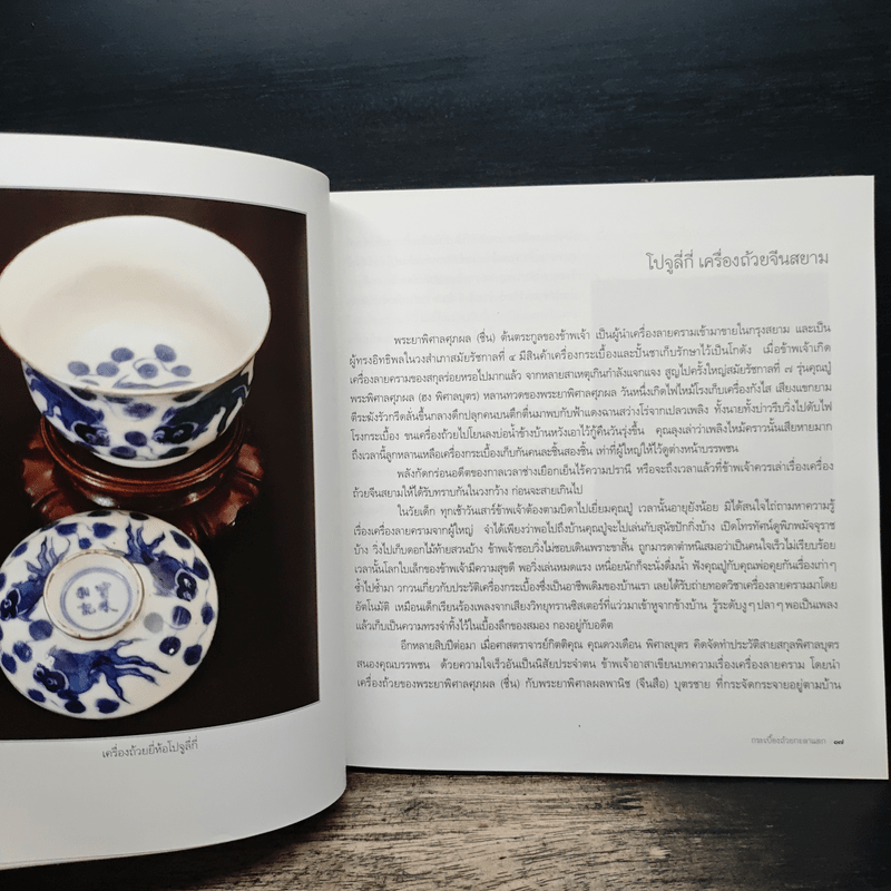 กระเบื้องถ้วยกะลาแตก: ชีวิตเบื้องหลังสมบัติผู้ดี - พิมพ์ประไพ พิศาลบุตร