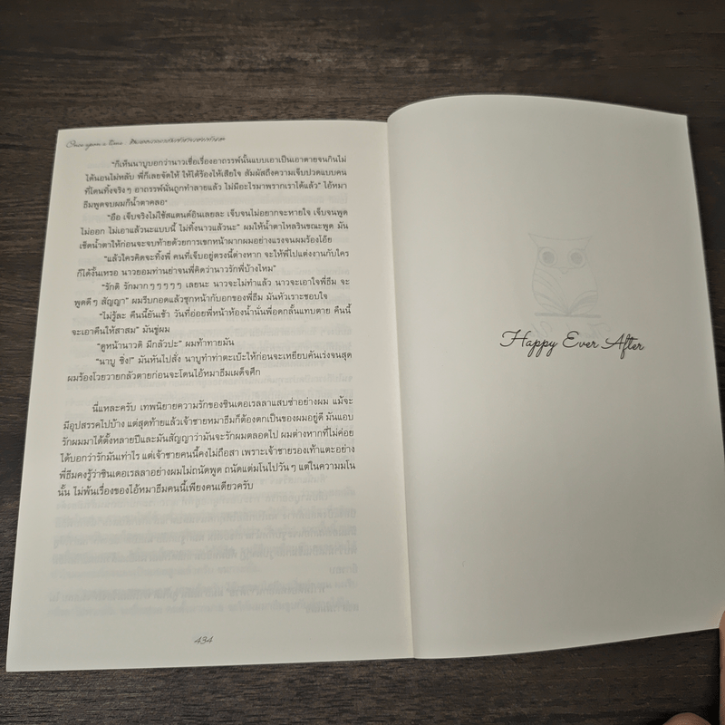 Once upon a time ซินเดอเรลลากับเจ้าชายรองเท้าแตะ - Loverouter