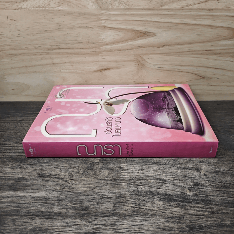 ซ่อนรักไว้ในลมหนาว - ณารา