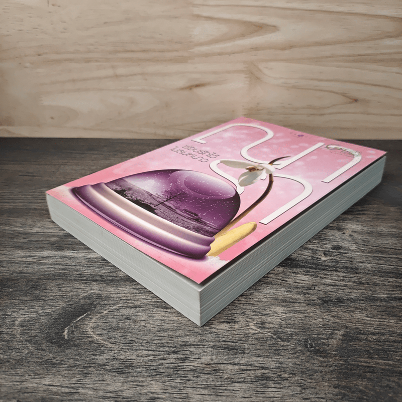 ซ่อนรักไว้ในลมหนาว - ณารา