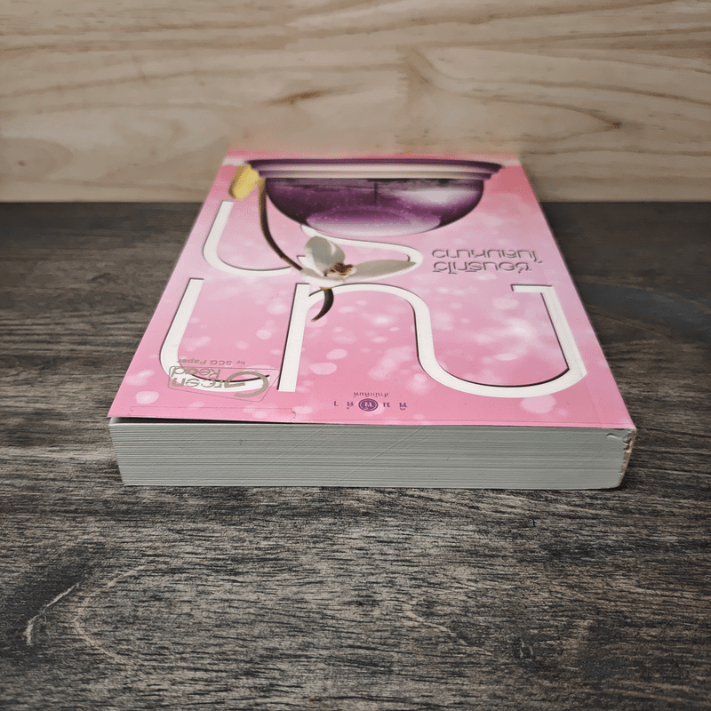 ซ่อนรักไว้ในลมหนาว - ณารา