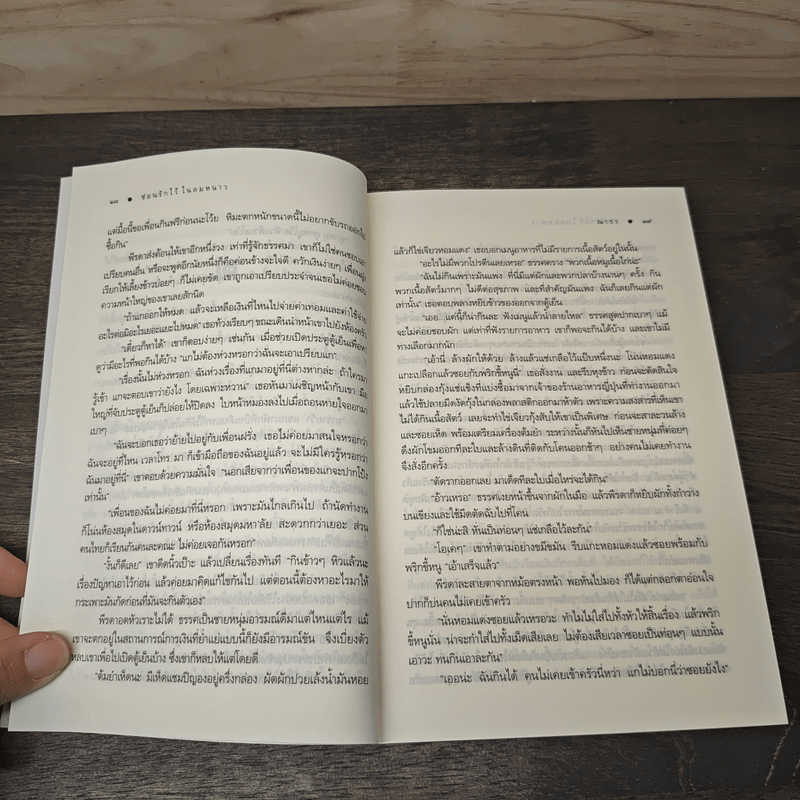 ซ่อนรักไว้ในลมหนาว - ณารา