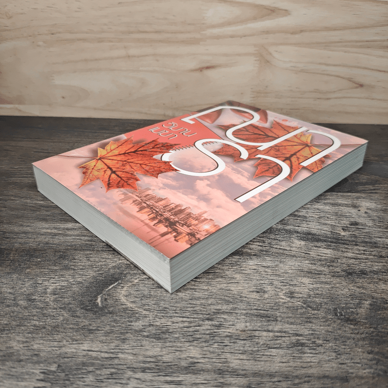 วิมานเมฆา - ณารา