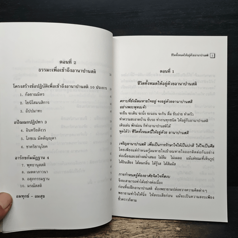 อานาปานสติ : วิถีแห่งความสุข 1 ชีวิตทั้งหมดให้อยู่ด้วยอานาปานสติ - พระอาจารย์มิตซูโอะ คเวสโก