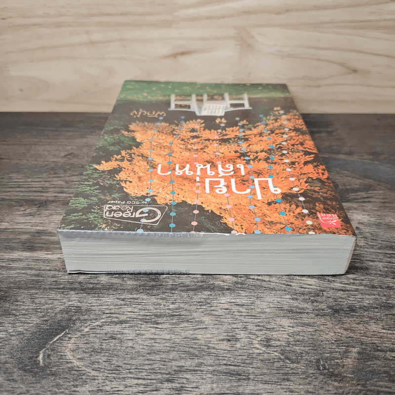 ปายเสน่หา - ผักบุ้ง