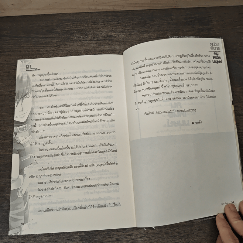 หน่วยพิฆาตคนเหนือมนุษย์ เล่ม 1 - มาวหลัว, ฮอบบิน