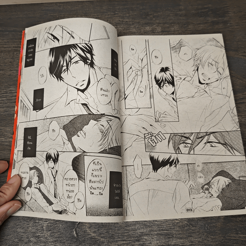 ใช่รัก...หรือเปล่า ? - Ante Hakutou