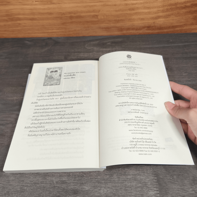 UAAG ทีมสืบสวนอุบัติเหตุทางอากาศ เล่ม 1-2 - โม่เฉินฮวน