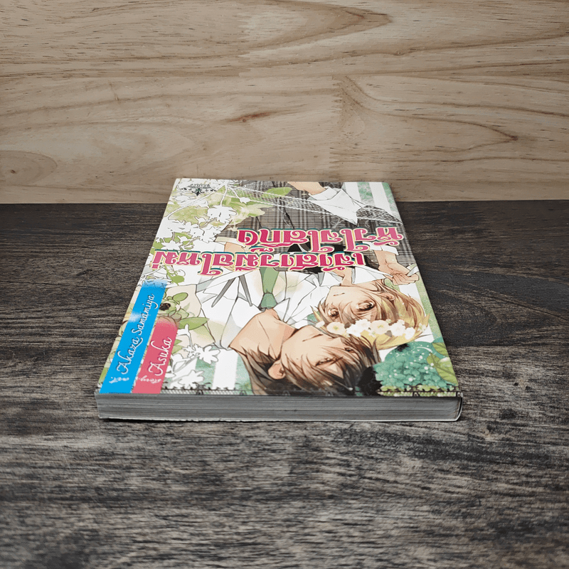 เจ้าสาวมือใหม่หัวใจใสกิ๊ง