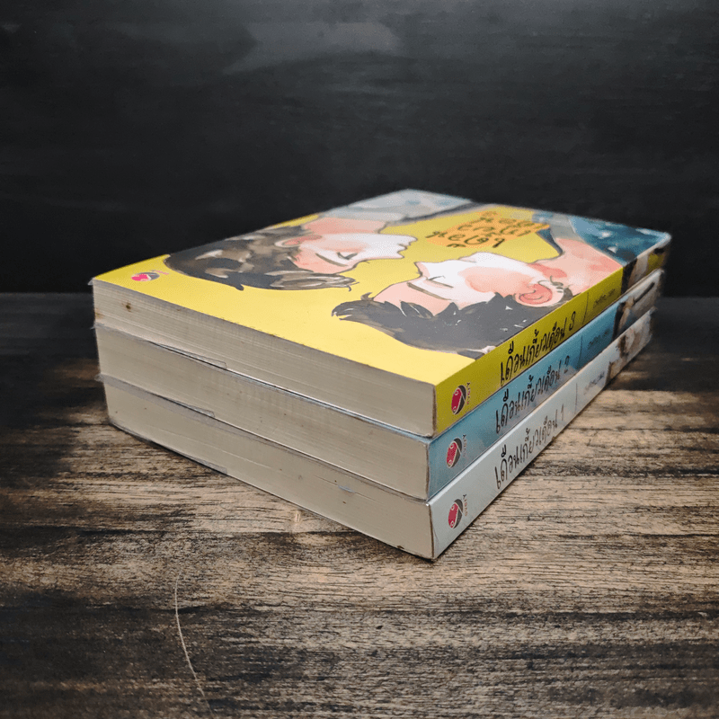 เดือนเกี้ยวเดือน 3 เล่มจบ - Chiffon_cake