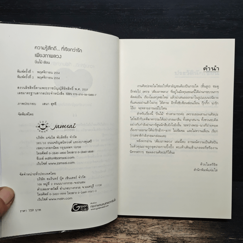 เพียงภาพลวง - ปิ่นไม้