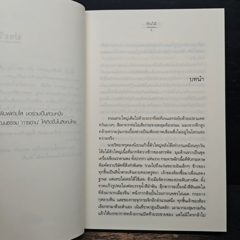 เพียงภาพลวง - ปิ่นไม้